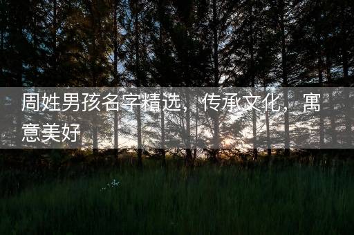 周姓男孩名字精选，传承文化，寓意美好