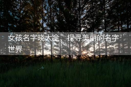 女孩名字晓大全，探寻美丽的名字世界