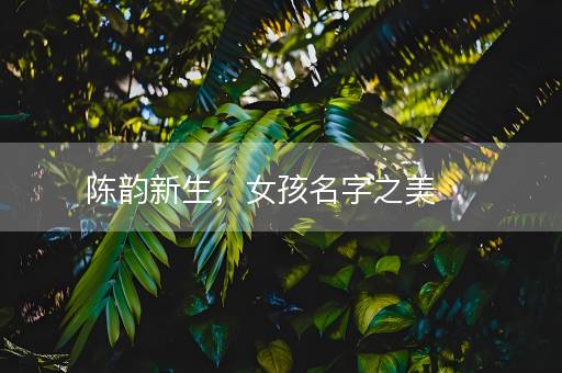 陈韵新生，女孩名字之美