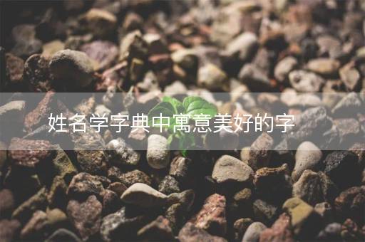 姓名学字典中寓意美好的字