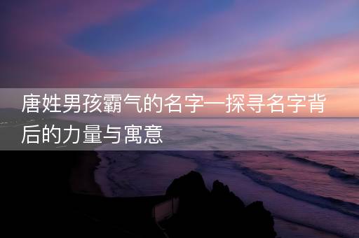 唐姓男孩霸气的名字—探寻名字背后的力量与寓意