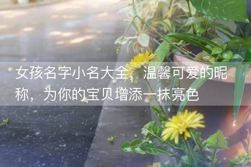 女孩名字小名大全，温馨可爱的昵称，为你的宝贝增添一抹亮色