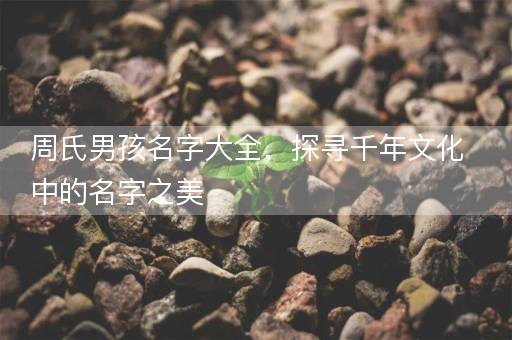 周氏男孩名字大全，探寻千年文化中的名字之美