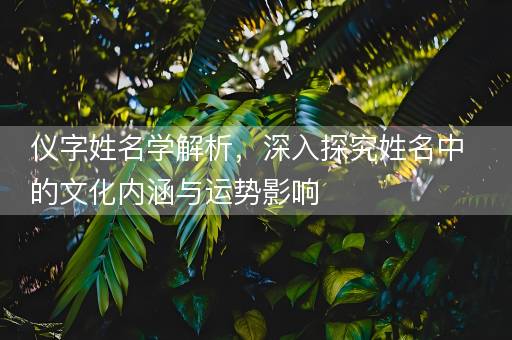 仪字姓名学解析，深入探究姓名中的文化内涵与运势影响