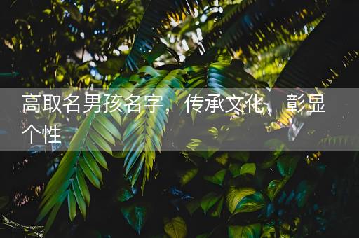 高取名男孩名字，传承文化，彰显个性