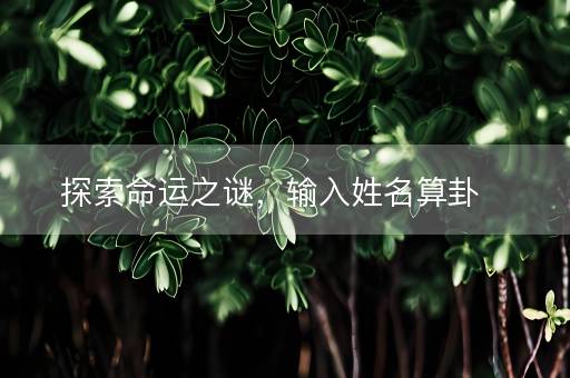 探索命运之谜，输入姓名算卦