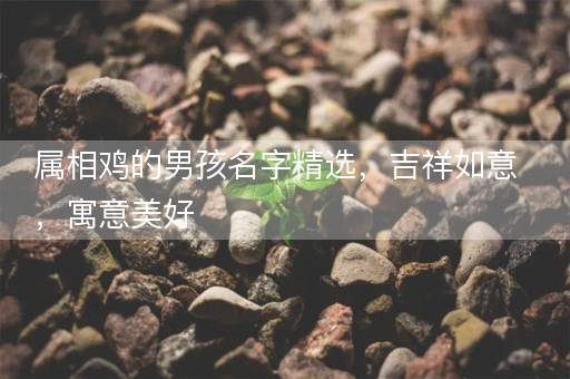 属相鸡的男孩名字精选，吉祥如意，寓意美好