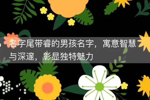 名字尾带睿的男孩名字，寓意智慧与深邃，彰显独特魅力