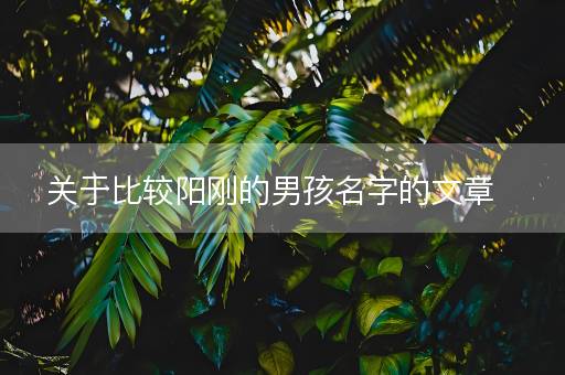 关于比较阳刚的男孩名字的文章