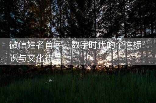 微信姓名首字，数字时代的个性标识与文化符号