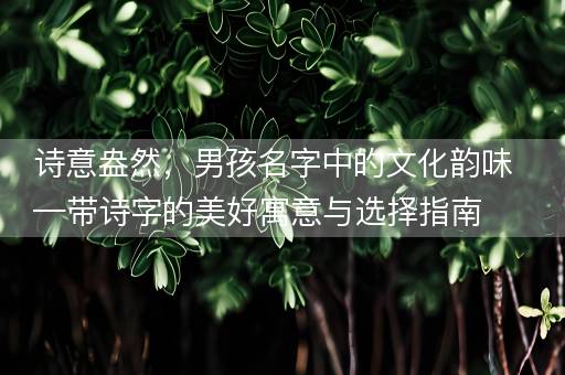 诗意盎然，男孩名字中的文化韵味—带诗字的美好寓意与选择指南