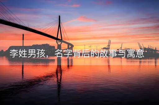 李姓男孩，名字背后的故事与寓意