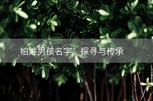 柏姓男孩名字，探寻与传承