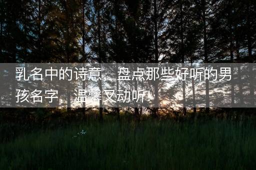 乳名中的诗意，盘点那些好听的男孩名字，温馨又动听！