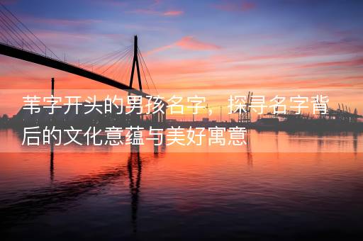 苇字开头的男孩名字，探寻名字背后的文化意蕴与美好寓意