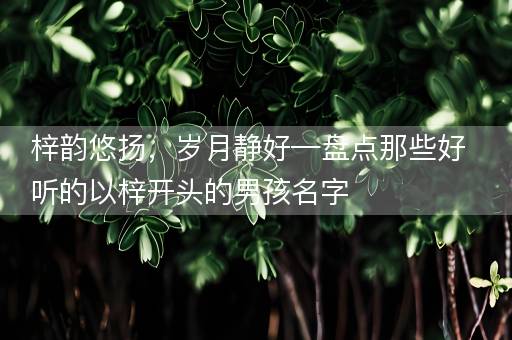 梓韵悠扬，岁月静好—盘点那些好听的以梓开头的男孩名字