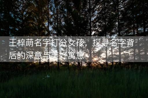 王梓萌名字打分女孩，探寻名字背后的深意与美好寓意