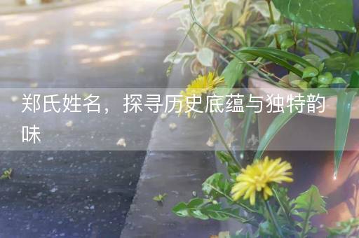 郑氏姓名，探寻历史底蕴与独特韵味