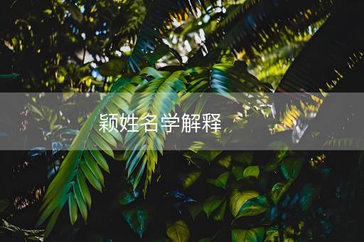 颖姓名学解释