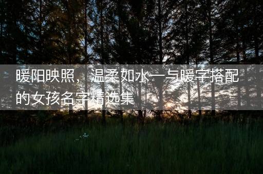 暖阳映照，温柔如水—与暖字搭配的女孩名字精选集