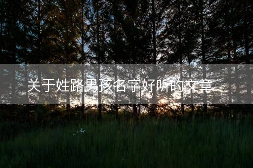 关于姓路男孩名字好听的文章