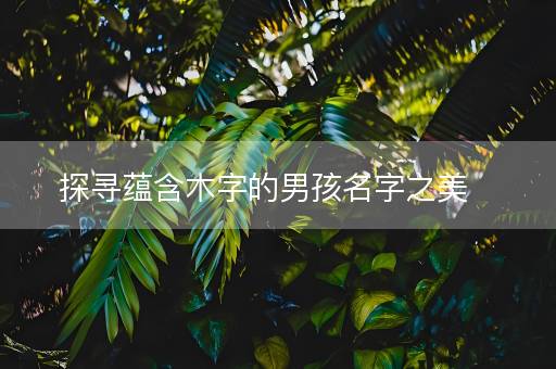 探寻蕴含木字的男孩名字之美