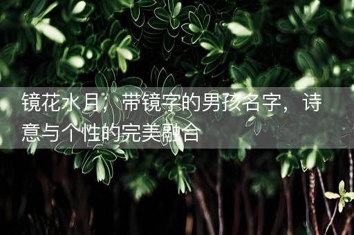 镜花水月，带镜字的男孩名字，诗意与个性的完美融合