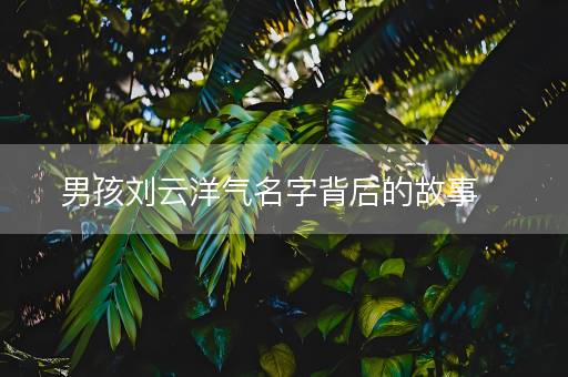 男孩刘云洋气名字背后的故事