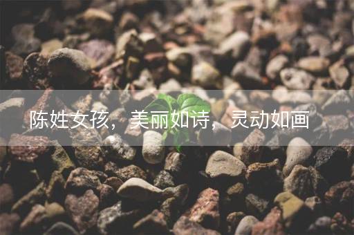 陈姓女孩，美丽如诗，灵动如画