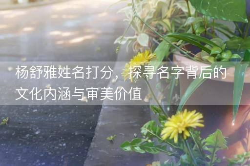 杨舒雅姓名打分，探寻名字背后的文化内涵与审美价值