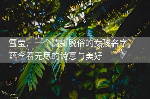 雪莹，一个清新脱俗的女孩名字，蕴含着无尽的诗意与美好