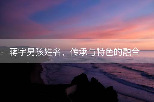 蒋字男孩姓名，传承与特色的融合