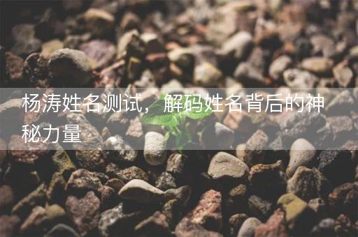 杨涛姓名测试，解码姓名背后的神秘力量