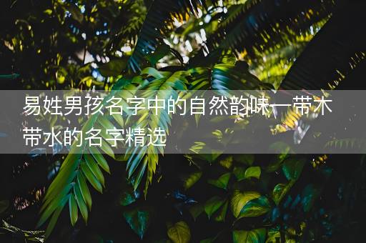 易姓男孩名字中的自然韵味—带木带水的名字精选