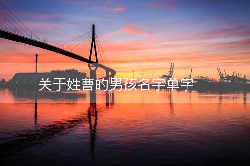 关于姓曹的男孩名字单字