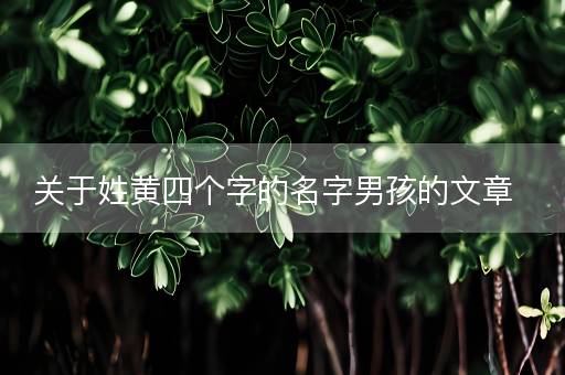 关于姓黄四个字的名字男孩的文章