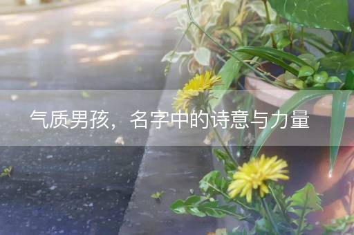 气质男孩，名字中的诗意与力量
