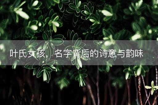 叶氏女孩，名字背后的诗意与韵味