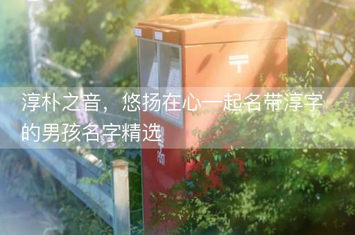 淳朴之音，悠扬在心—起名带淳字的男孩名字精选
