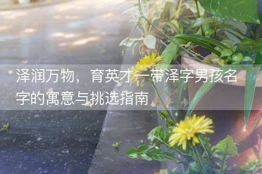 泽润万物，育英才—带泽字男孩名字的寓意与挑选指南