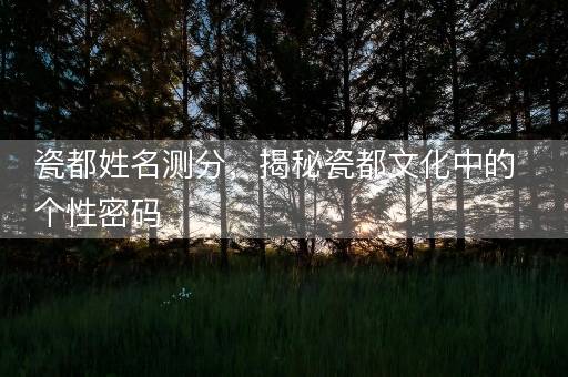 瓷都姓名测分，揭秘瓷都文化中的个性密码