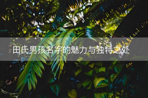 田氏男孩名字的魅力与独特之处