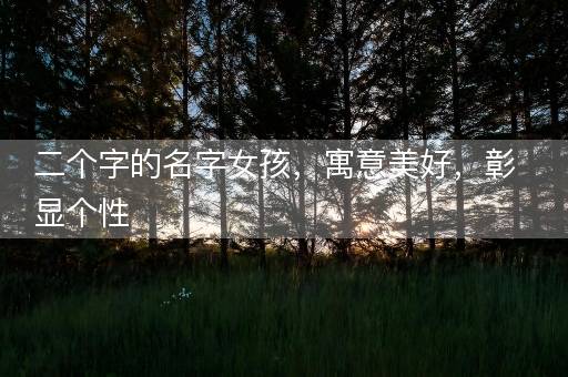 二个字的名字女孩，寓意美好，彰显个性