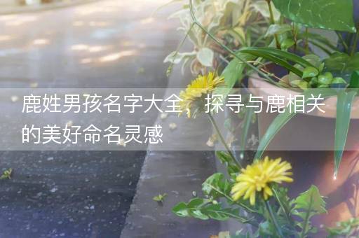 鹿姓男孩名字大全，探寻与鹿相关的美好命名灵感