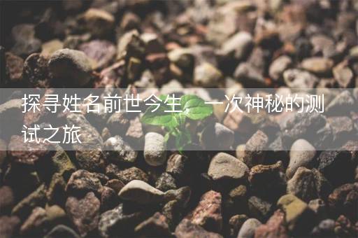 探寻姓名前世今生，一次神秘的测试之旅