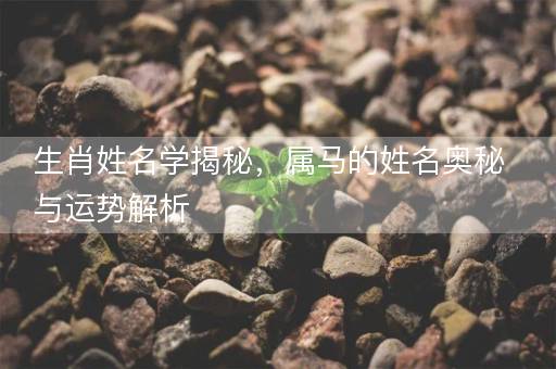生肖姓名学揭秘，属马的姓名奥秘与运势解析