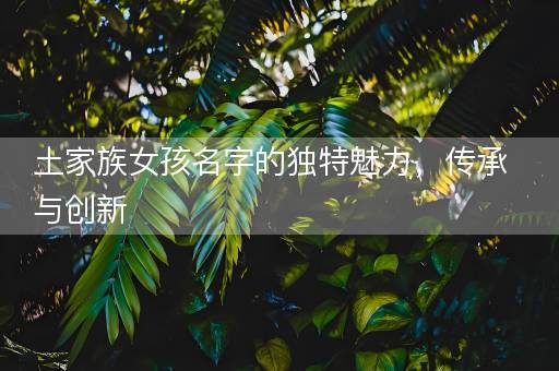 土家族女孩名字的独特魅力，传承与创新