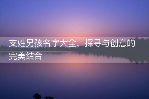支姓男孩名字大全，探寻与创意的完美结合