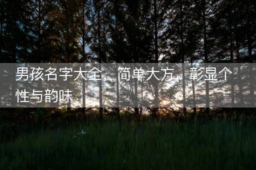 男孩名字大全，简单大方，彰显个性与韵味