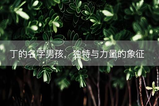 丁的名字男孩，独特与力量的象征